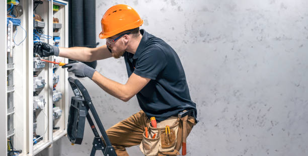 Best Electric Panel Repair  in Excelsior Springs, MO